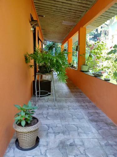 Apartamento Cantinho Do Rio