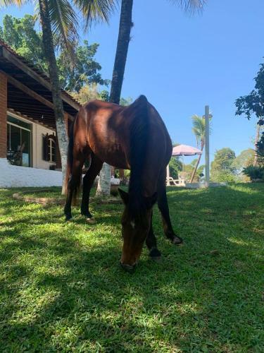 Rancho - S�o Pedro