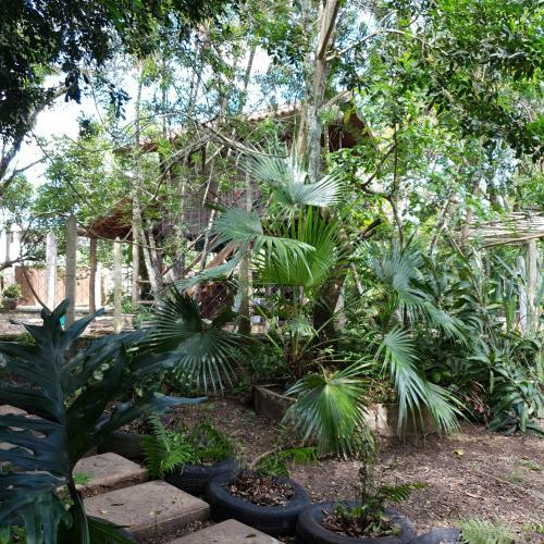 Hostal Ecocentro Brasil - Espa�o Ecol�gico