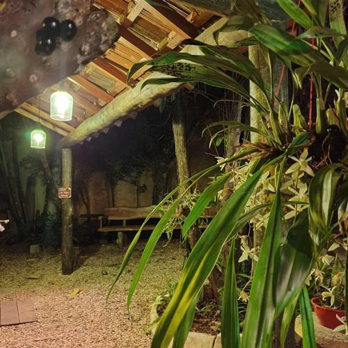 Hostal Ecocentro Brasil - Espa�o Ecol�gico
