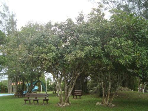 Posada Sambur� Chal�s