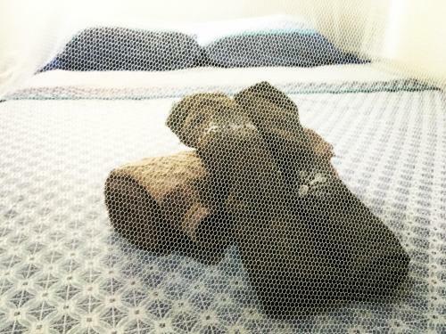 Natural Hostel Atins