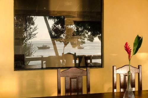 Hostal Fauna