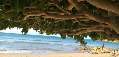 Apartamento Um Ref�gio � Beira Mar