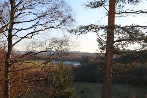 Lagganlia Lodges And Camping Pods