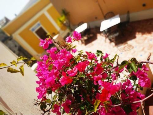 Hostal ''enzo Il Negro''