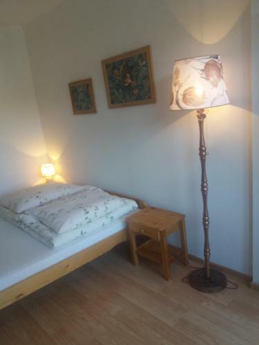 Hostal Go?ciniec Adam
