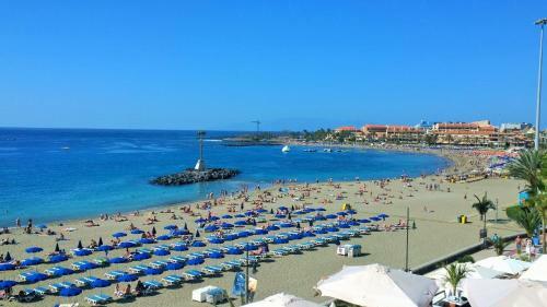 Sunny Beach Corner Apartament