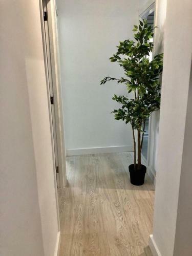 Sunny Beach Corner Apartament