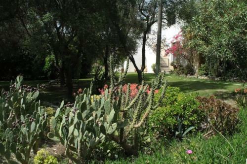 Apartamento Villa Olivia