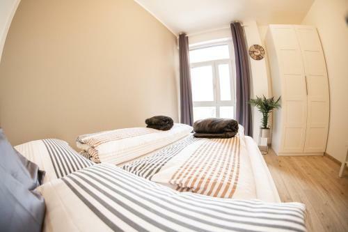 Flow Apartments Winkel Love Und Happiness
