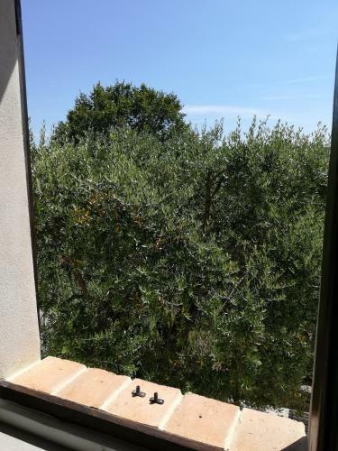 Bed & Breakfast Sotto L'ulivo