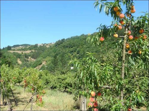 Hotel Restaurante Marronc�n