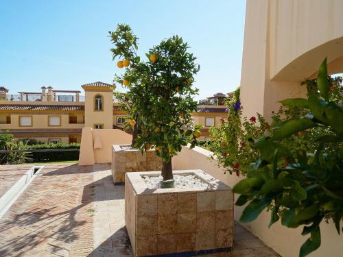 Apartment M�laga