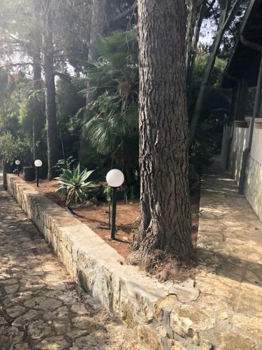 Villa Punta Pispisa Scopello