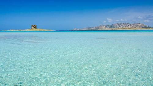 Apartamento Il Pesce Innamorato - Stintino