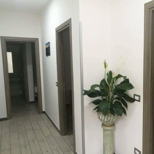 La Pergola B&b-ristorante-pizzeria