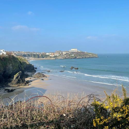 Newquay Caravan Lets