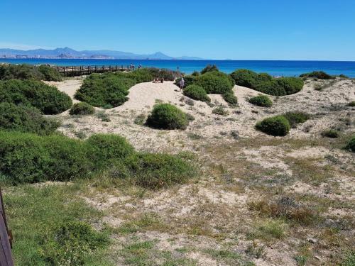 Apartamento Arenales Sol Y Playa Galatea