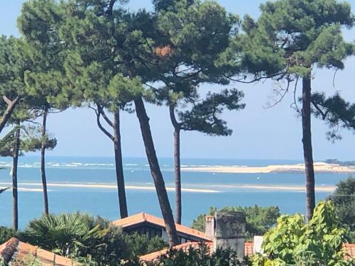 Bed & Breakfast Chambre D?h�tes Pyla Sur Mer