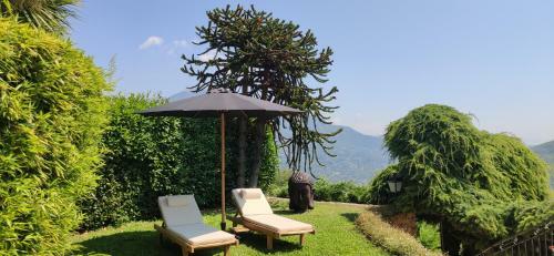 Bed & Breakfast Loup Castel - Adult Only