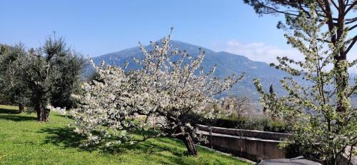 Bed & Breakfast Loup Castel - Adult Only