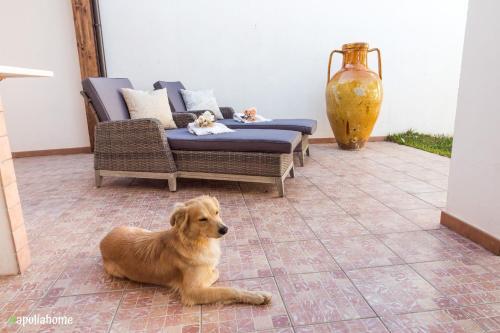 Apartamento Villa Geraldina (Promo 4/8 Persone)
