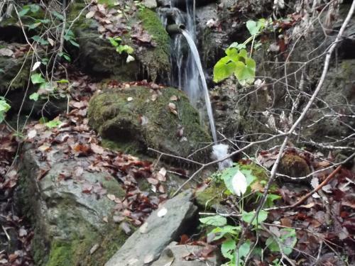 Hotel Monta�a Palentina