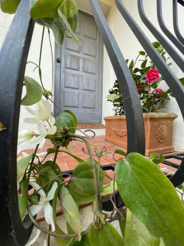 Bed & Breakfast Mas Du Temps