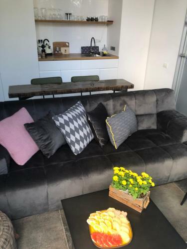 Hostal Felina Place By Shuli