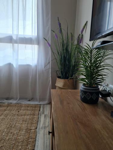 Apartamento Milos-boutique Suite In Eilat