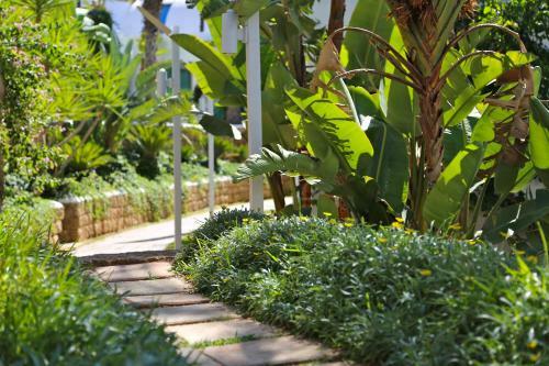 Hotel Pangea Beach Resort