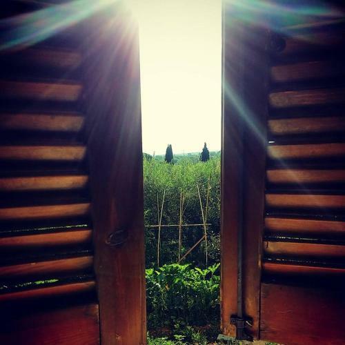 Bed & Breakfast La Peonia