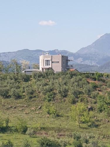 Bed & Breakfast Hilltop Hideaway