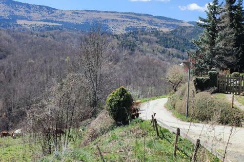 Casa Rural Con Jacuzzi Junto A Camprodon.