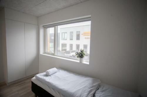 Apartamento New / 4 Br / Cozy / Walks / Hoyv�k