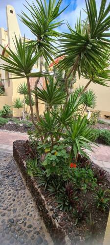 Apartamento Mare Verde 2