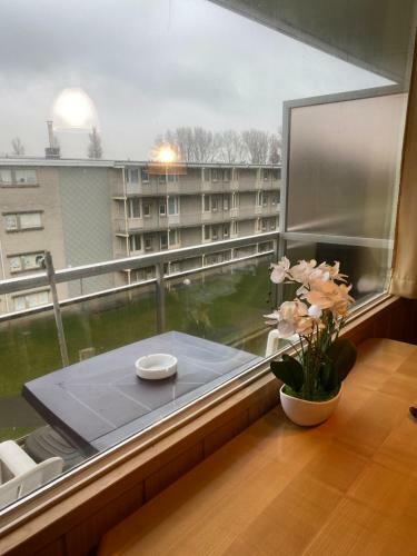 Apartamento De Haan
