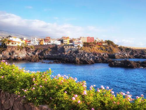 Apartamento Alcal� Center