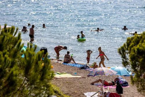 Hostal Palma Holiday House