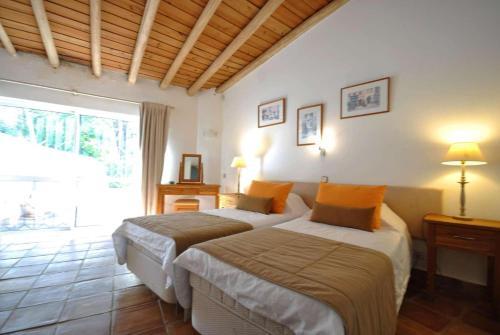 Villa Violeta