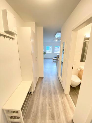 Apartment 3 Sovice