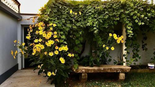 Casa �s Sete