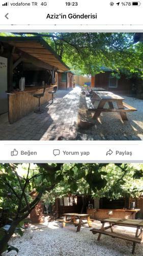 Hostal Or Site