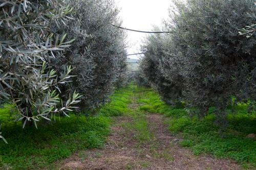 Agroturismo Relais Il Mulino