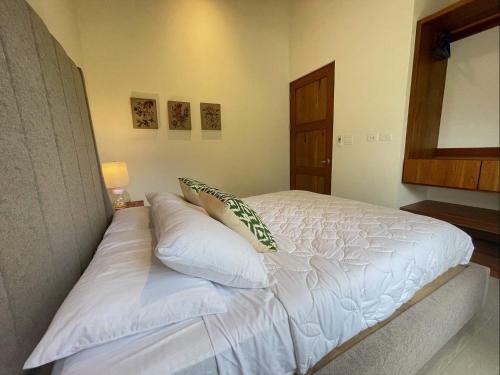 Villa Mariposa Ojochal