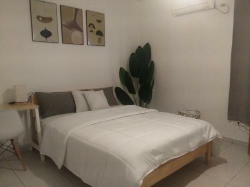 Comfortable Room In Panama City With Shared Bathroom