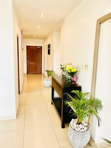 Brand New Amazing Apartment
