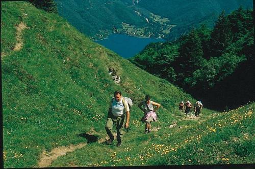 Family Wellness Camping Al Sole