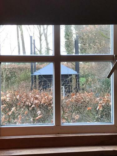 De T�nf�gel (tiny House)